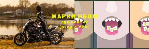 соль ск Михайлов