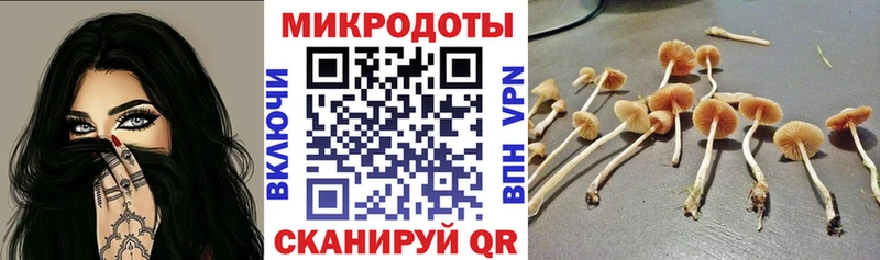 МЕГА ТОР  Городище  Галлюциногенные грибы мухоморы 
