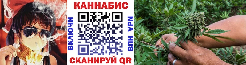 Шишки марихуана гибрид  где купить наркотик  Городище 
